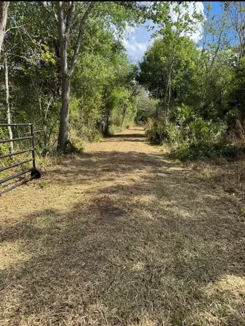 36564 Singletary Road Myakka City FL 34251