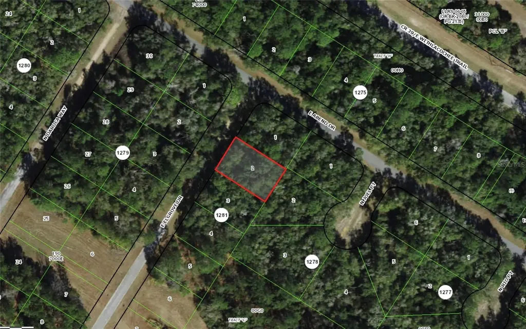 780 E Elgrove Drive Dunnellon FL 34434