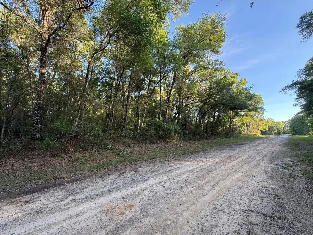 780 E Elgrove Drive Dunnellon FL 34434