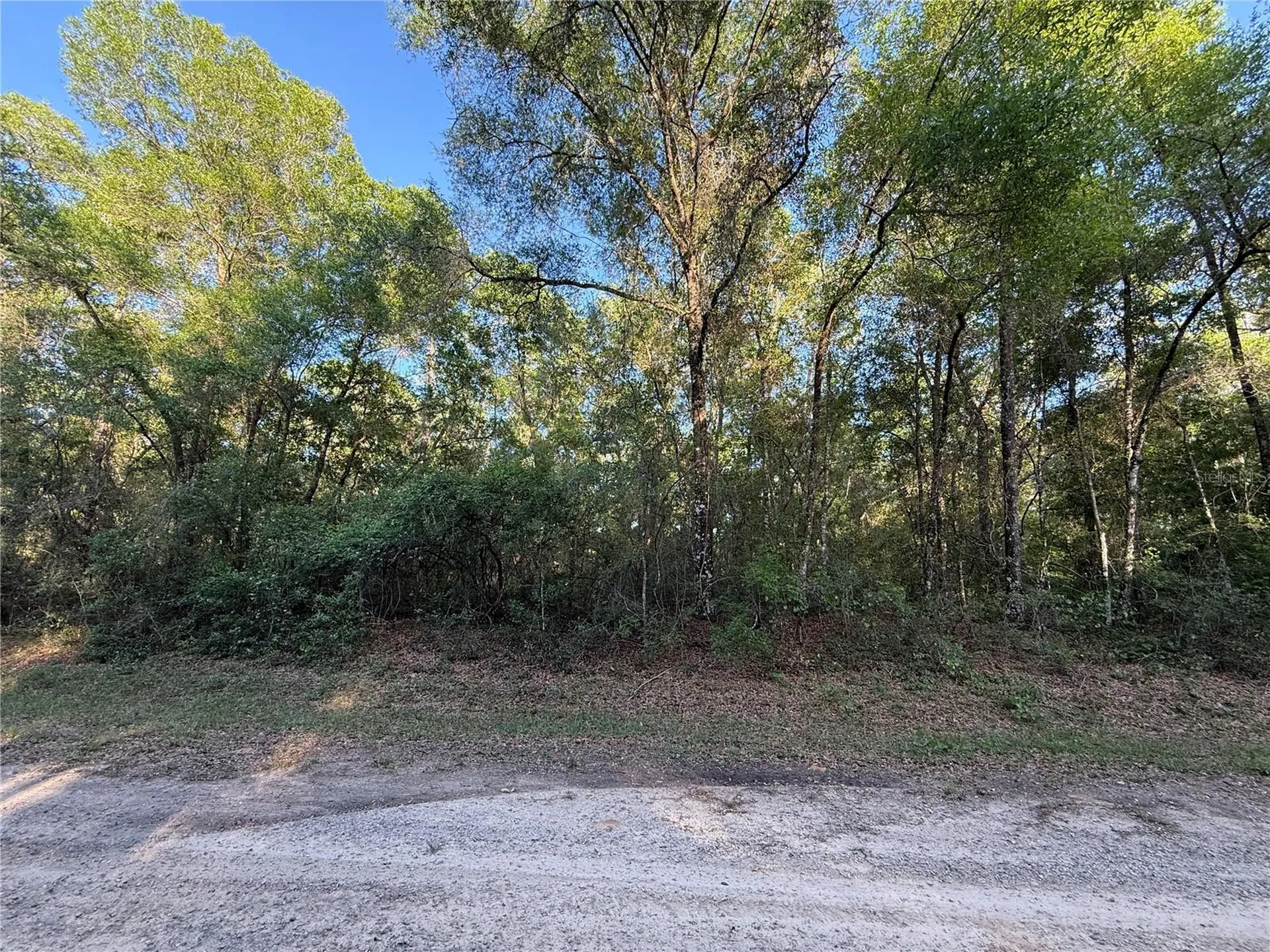 780 E Elgrove Drive Dunnellon FL 34434
