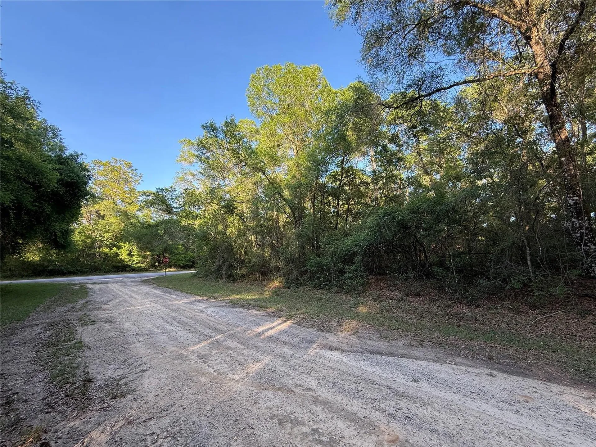 780 E Elgrove Drive Dunnellon FL 34434