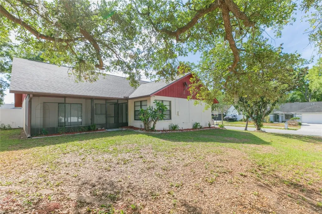 2528 Brimhollow Drive Valrico FL 33596