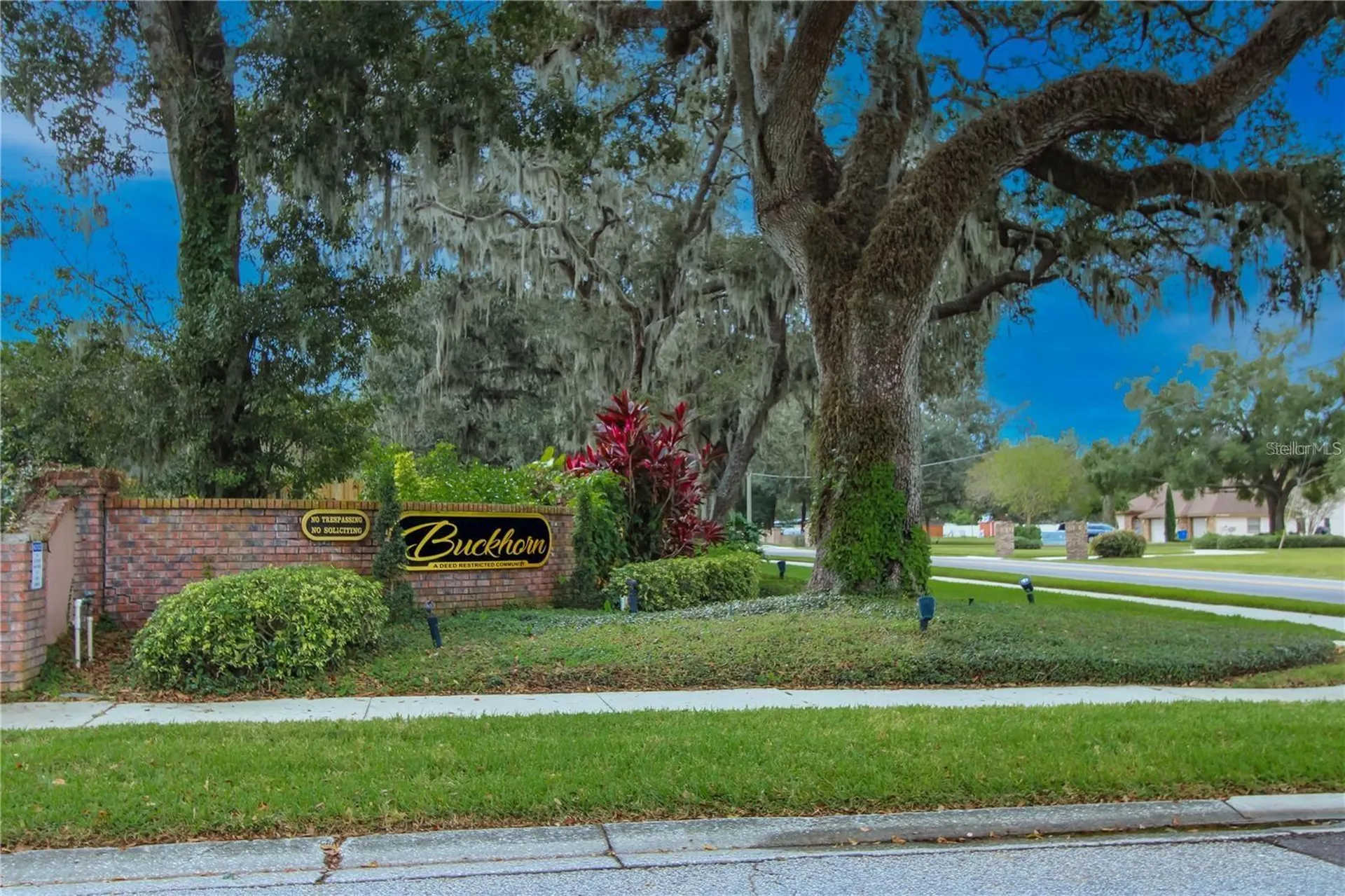 2528 Brimhollow Drive Valrico FL 33596