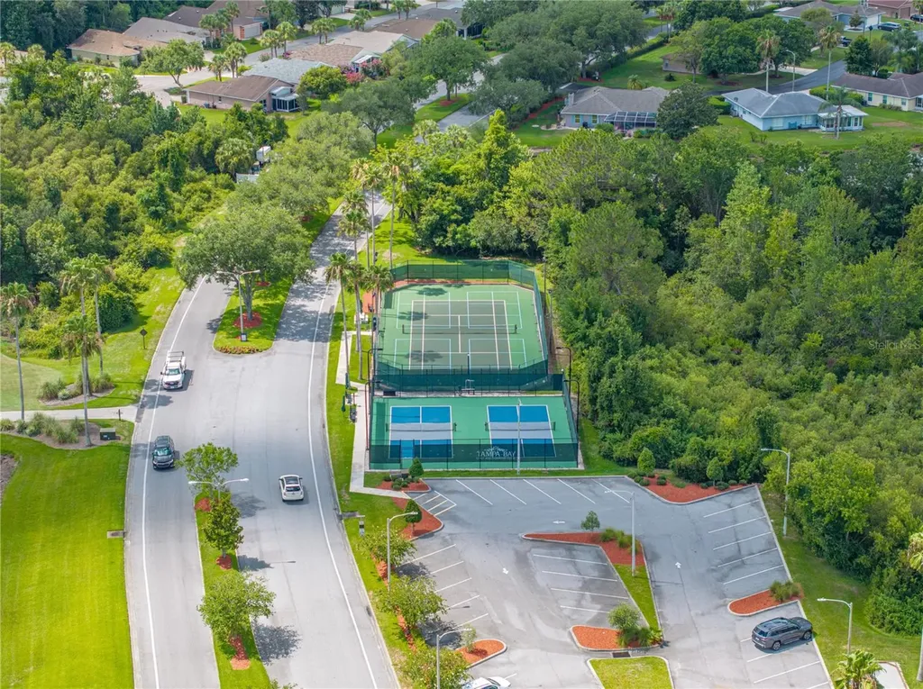 10817 Hock Lane San Antonio FL 33576