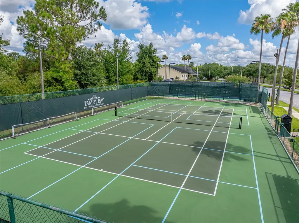10817 Hock Lane San Antonio FL 33576
