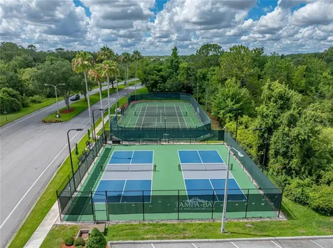 10817 Hock Lane San Antonio FL 33576