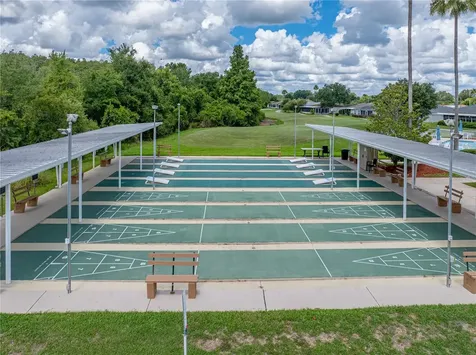 10817 Hock Lane San Antonio FL 33576