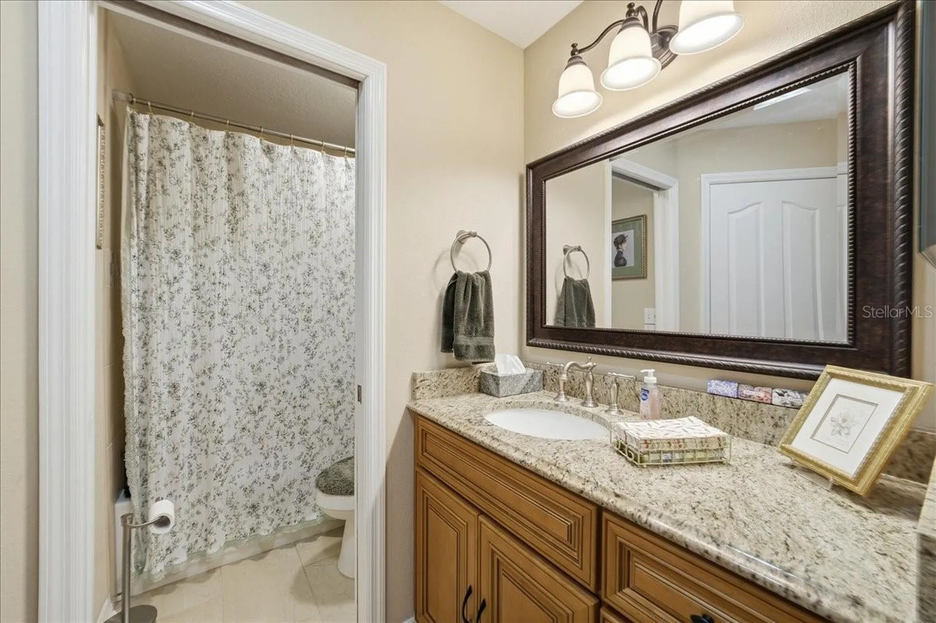 4408 Winding River Drive Valrico FL 33596