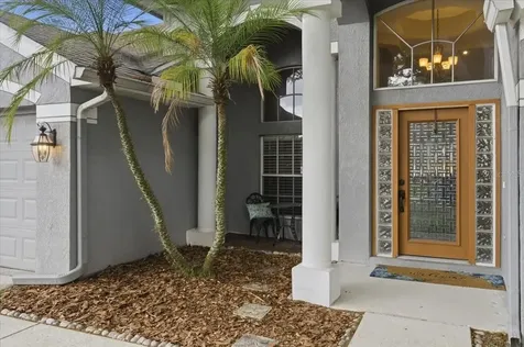 4408 Winding River Drive Valrico FL 33596
