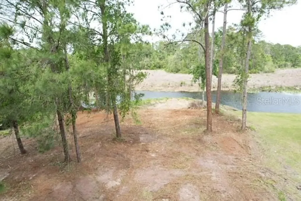 Locust Run Drive Ocala FL 34472