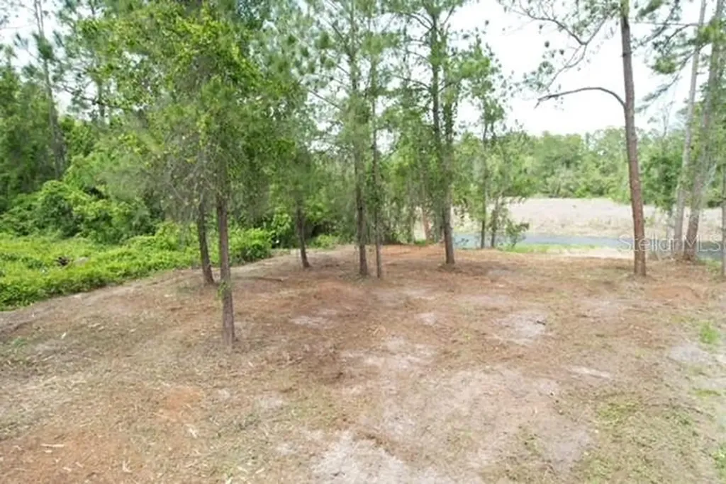 Locust Run Drive Ocala FL 34472