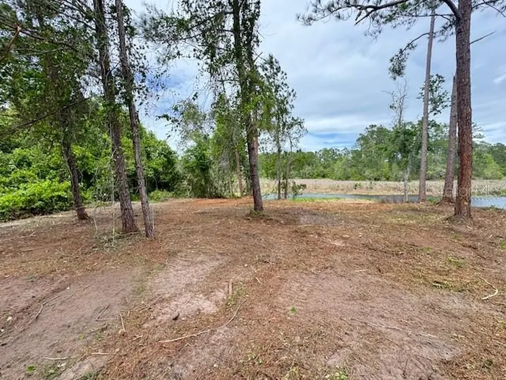 Locust Run Drive Ocala FL 34472
