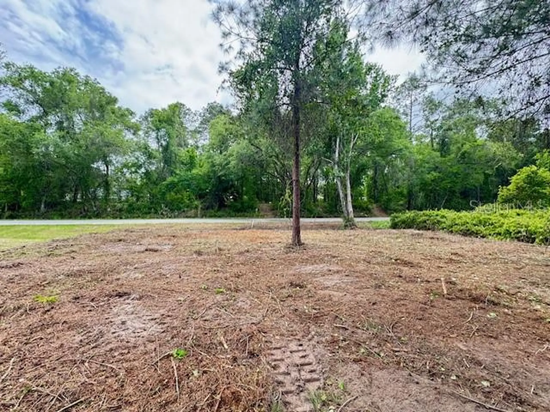 Locust Run Drive Ocala FL 34472