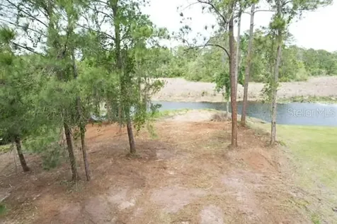 Locust Run Drive Ocala FL 34472