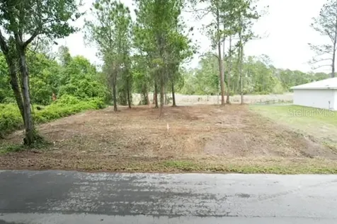 Locust Run Drive Ocala FL 34472