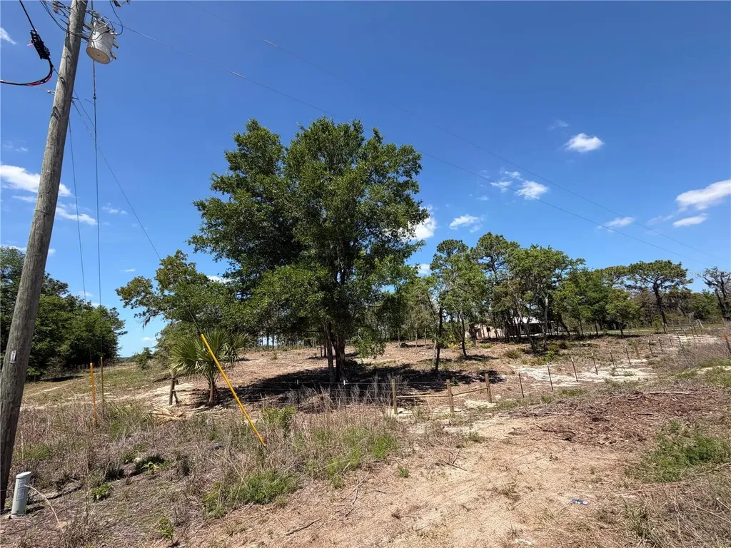 Tbd SW 169th Court Ocala FL 34481