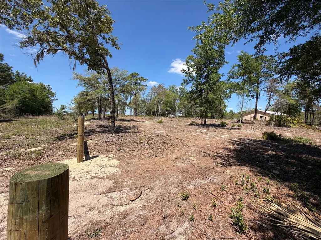 Tbd SW 169th Court Ocala FL 34481
