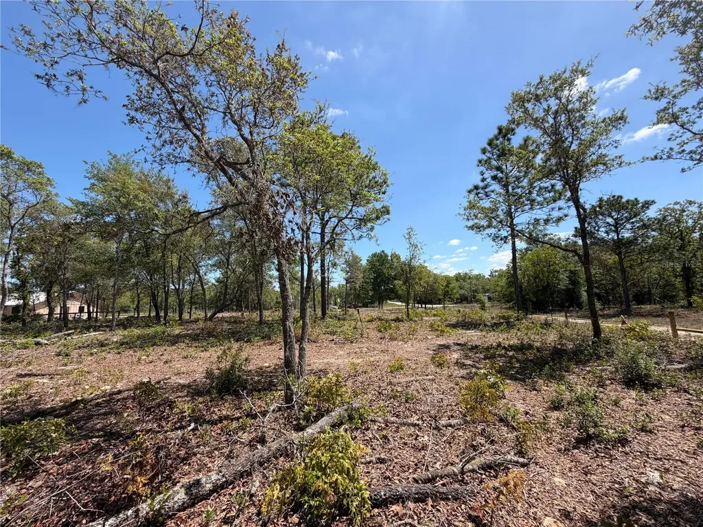 Tbd SW 169th Court Ocala FL 34481