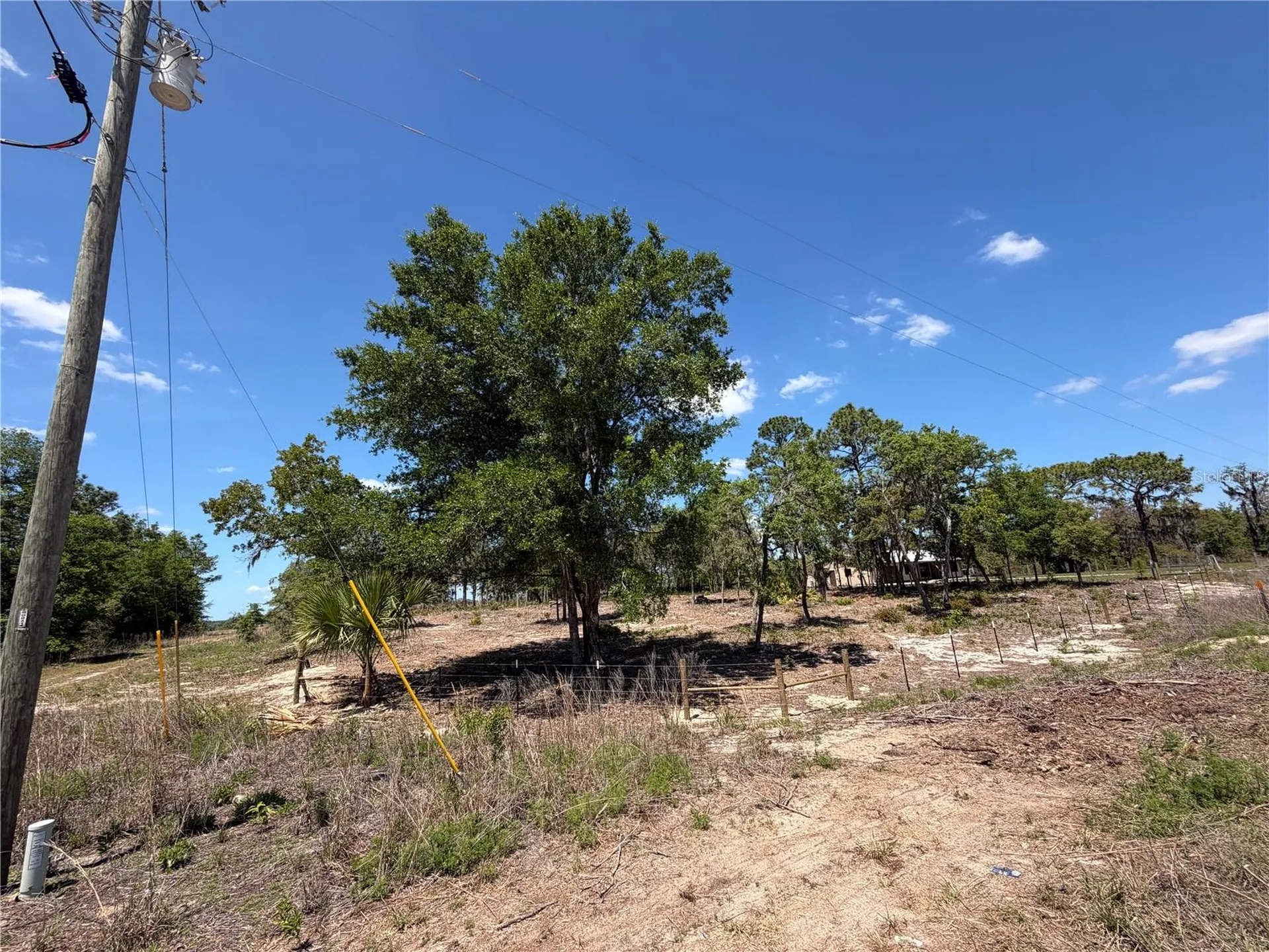 Tbd SW 169th Court Ocala FL 34481