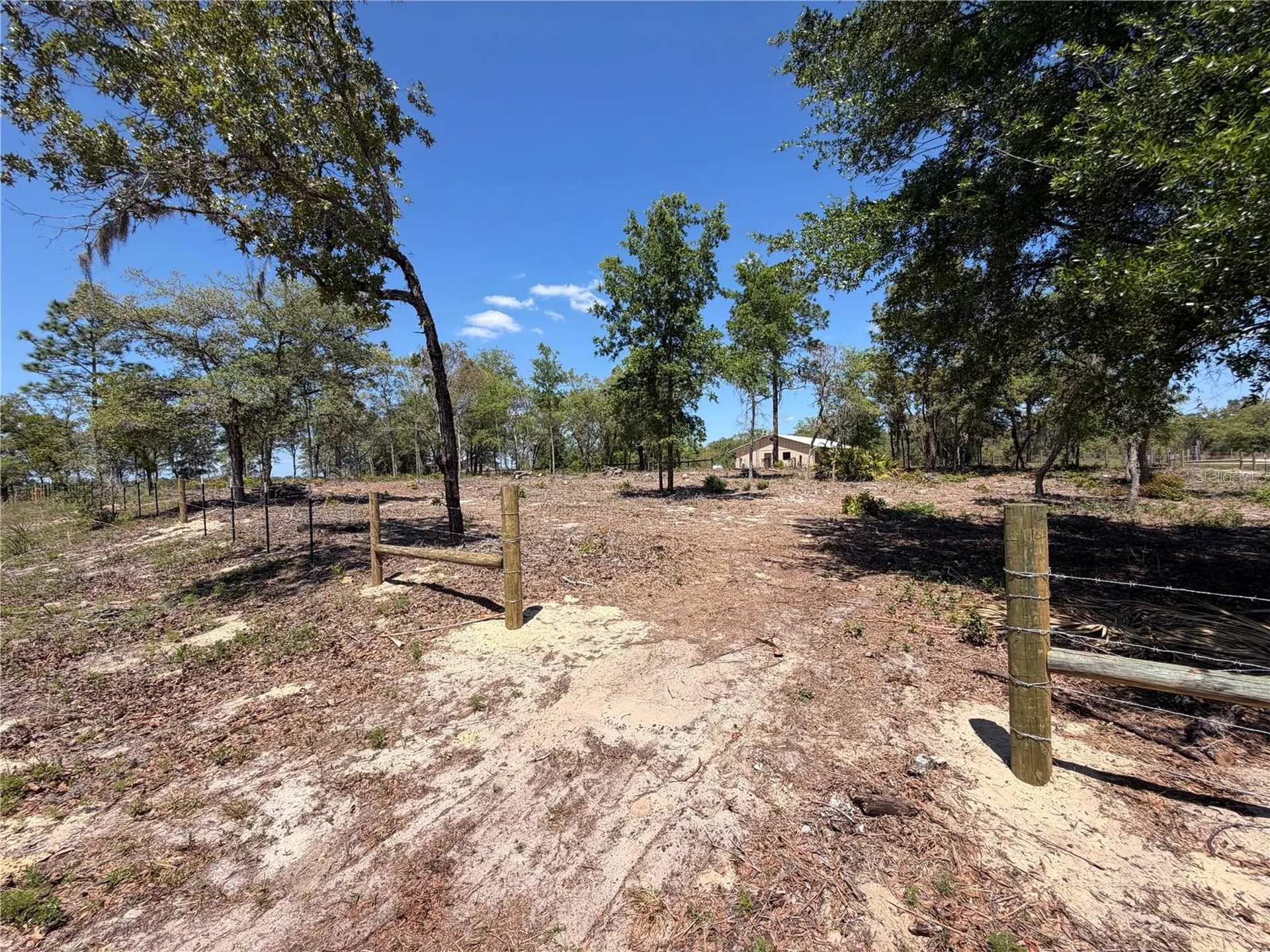 Tbd SW 169th Court Ocala FL 34481
