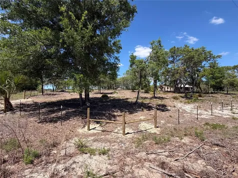 Tbd SW 169th Court Ocala FL 34481