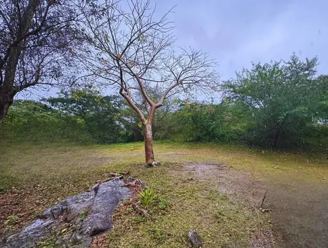 Calle #10 Comm Monte Santo P-2 Vieques PR 00765