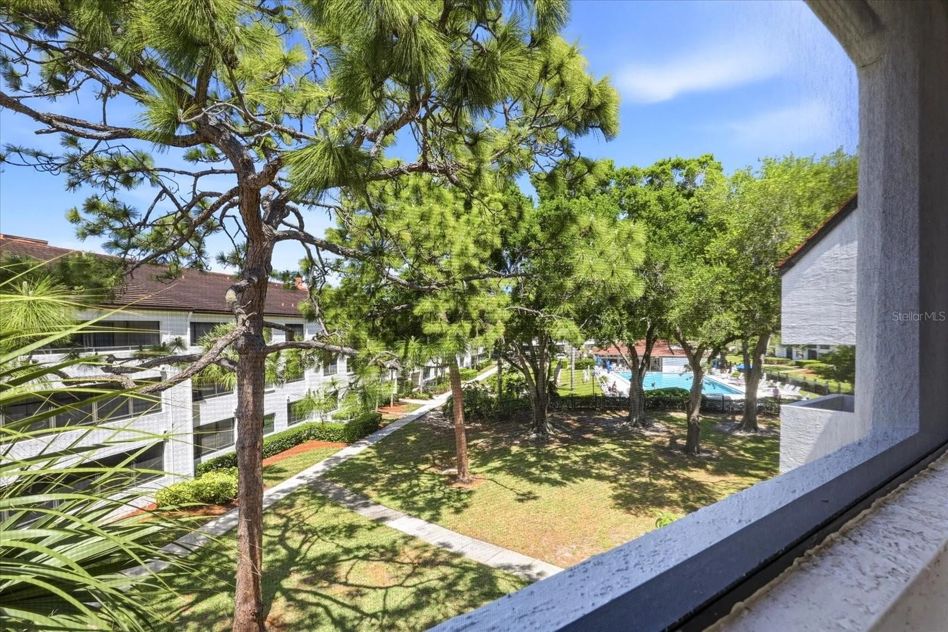 2593 Countryside Boulevard Clearwater FL 33761