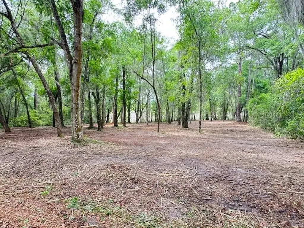 Locust Run Course Ocala FL 34472