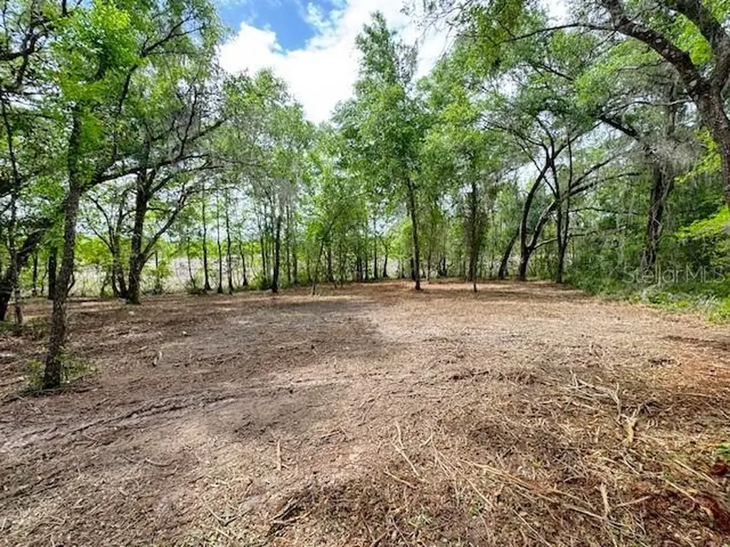 Locust Run Course Ocala FL 34472