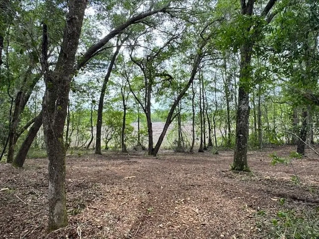 Locust Run Course Ocala FL 34472