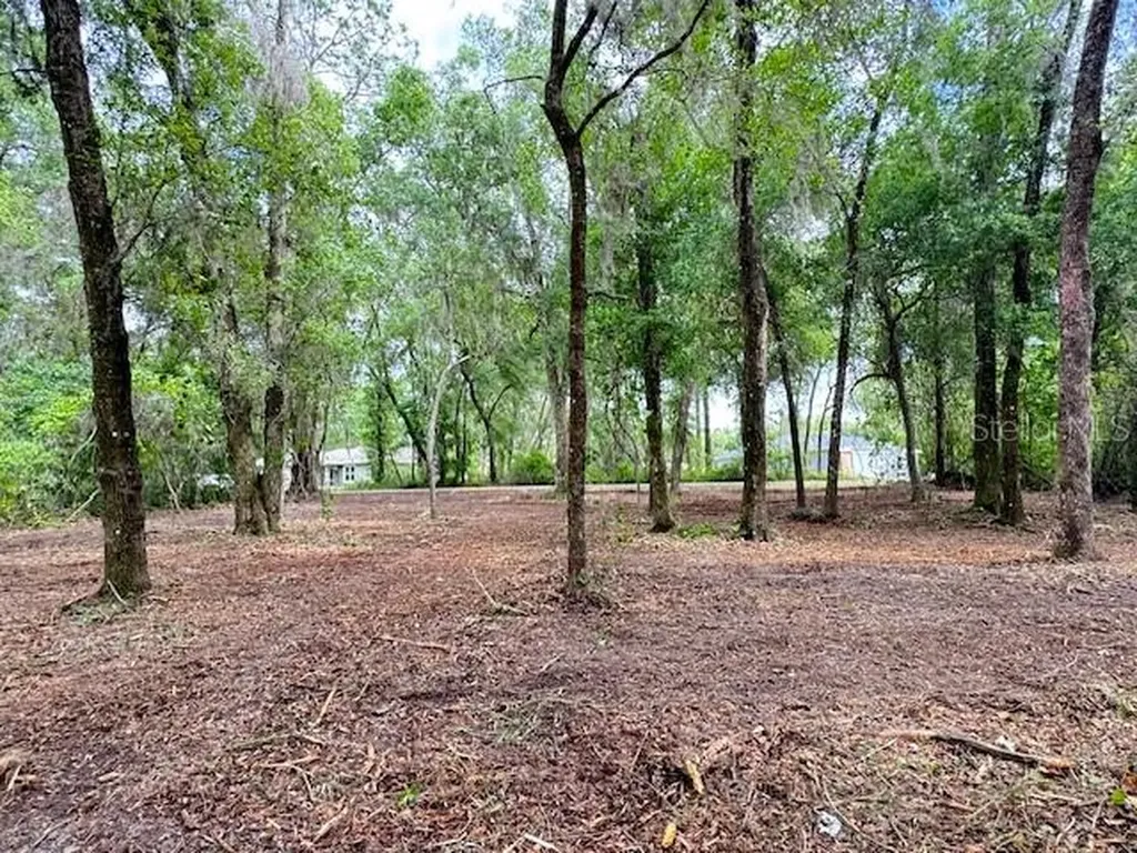 Locust Run Course Ocala FL 34472