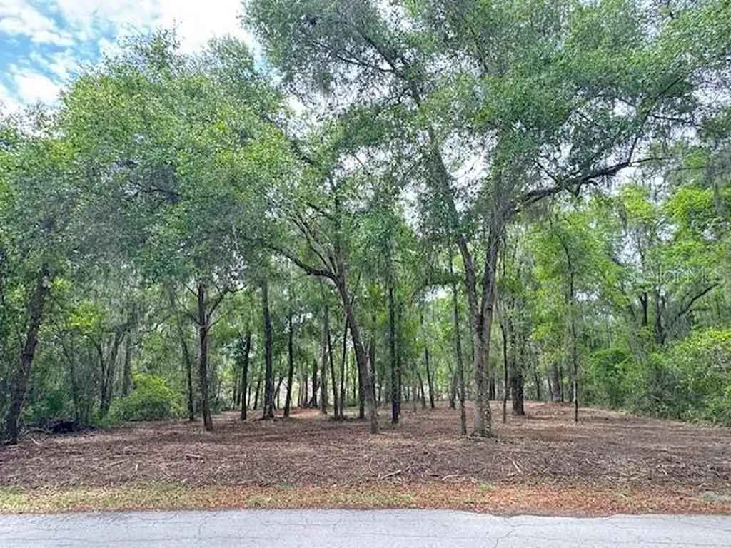 Locust Run Course Ocala FL 34472