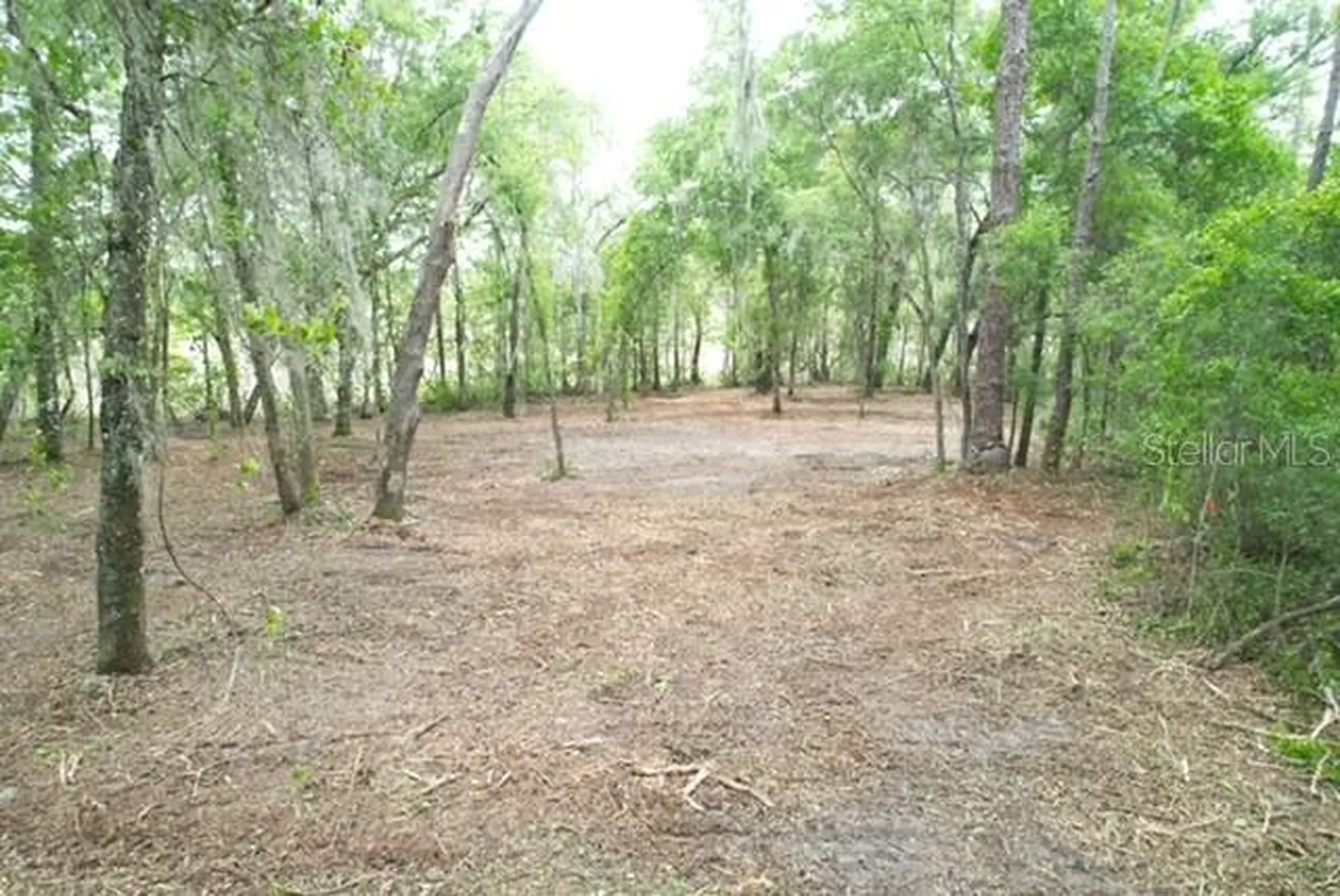 Locust Run Course Ocala FL 34472