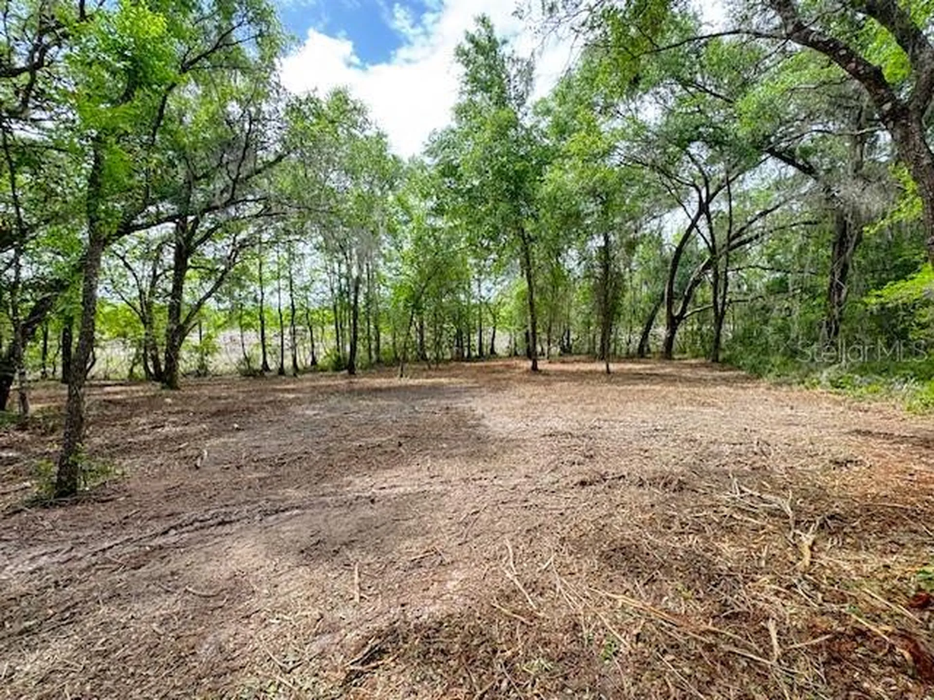 Locust Run Course Ocala FL 34472