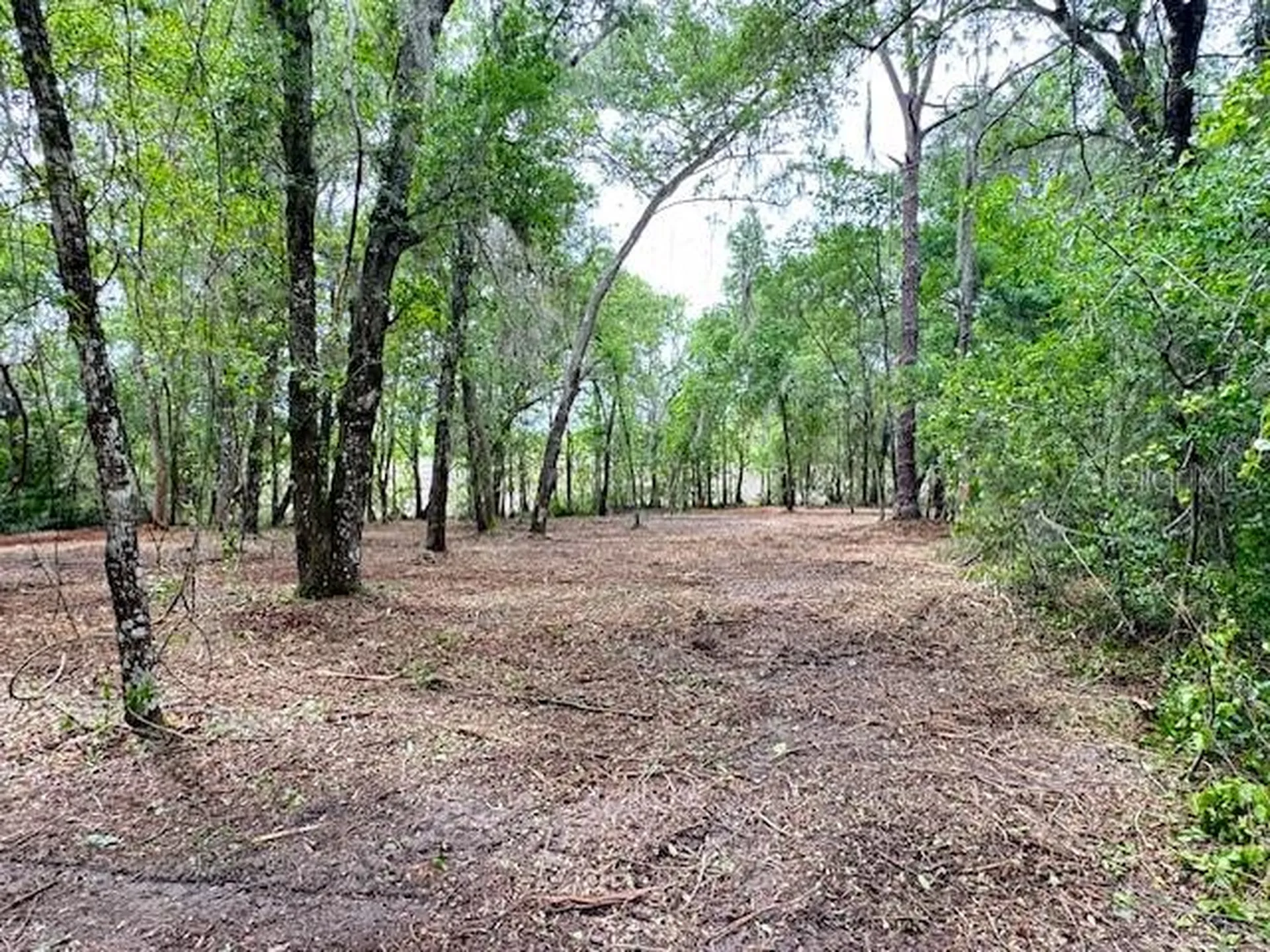 Locust Run Course Ocala FL 34472