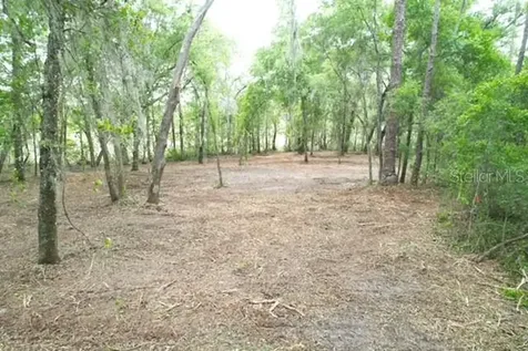 Locust Run Course Ocala FL 34472