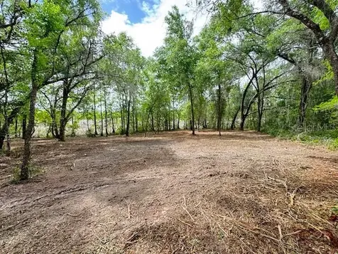 Locust Run Course Ocala FL 34472