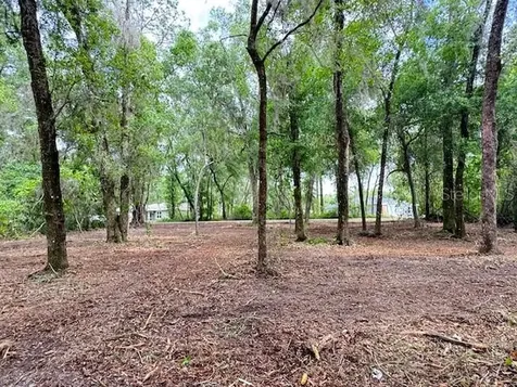 Locust Run Course Ocala FL 34472