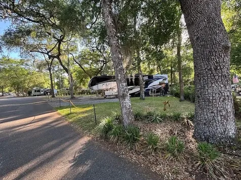 14262 NE 252nd Court Road Fort Mc Coy FL 32134