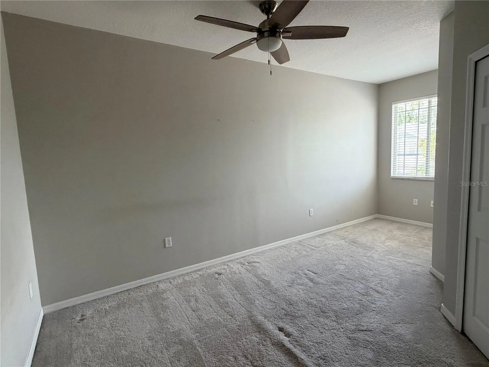 10321 Willow Leaf Trail Tampa FL 33625