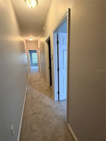 10321 Willow Leaf Trail Tampa FL 33625