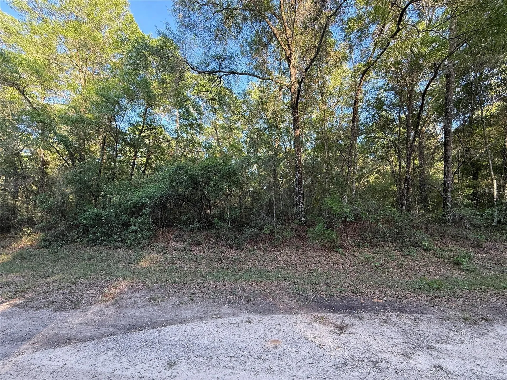 762 E Elgrove Drive Dunnellon FL 34434