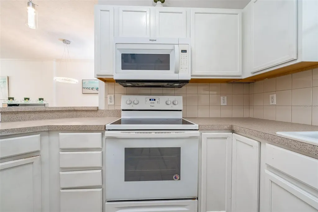 2118 Golden Oak Lane Valrico FL 33594