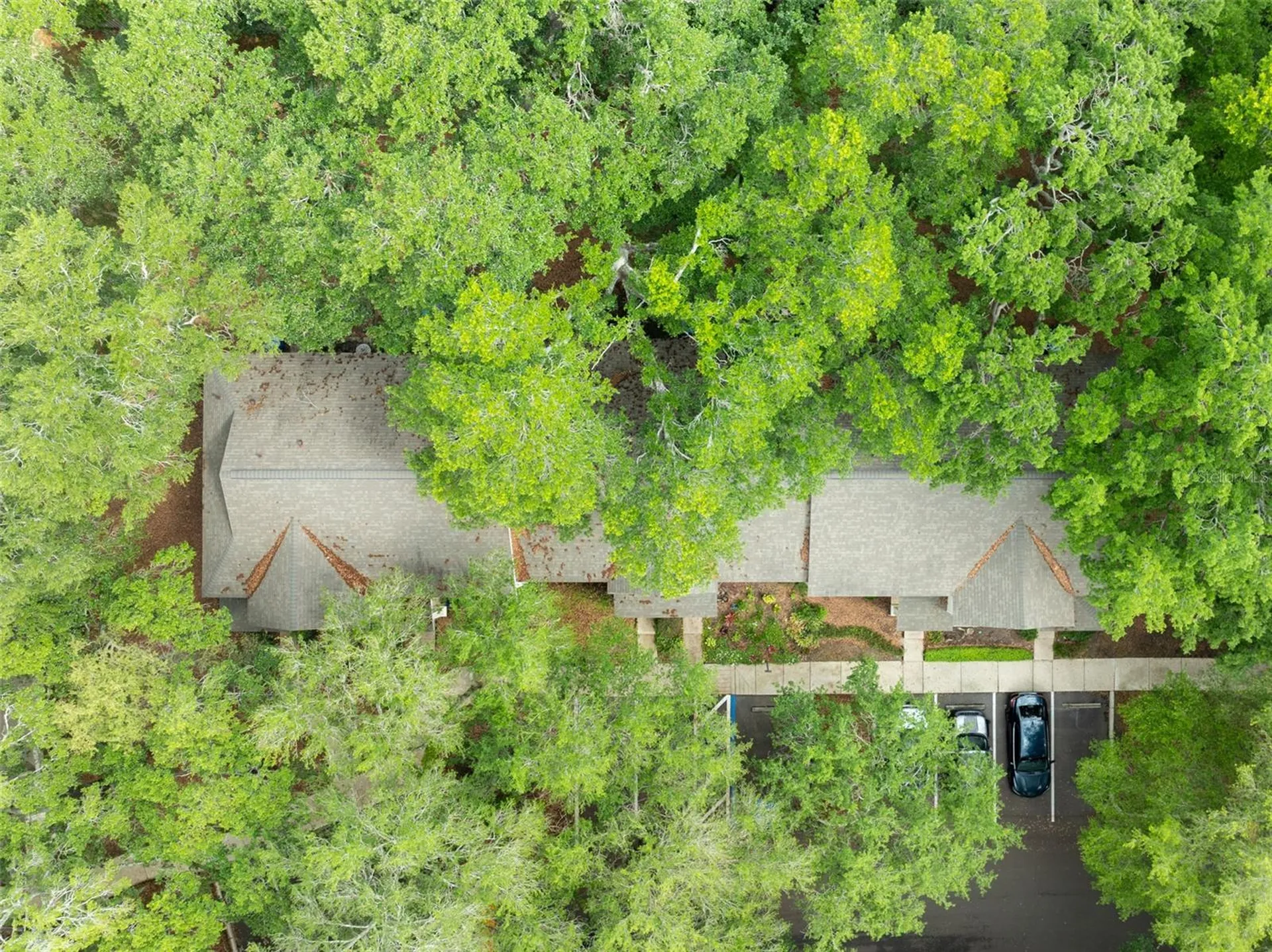 2118 Golden Oak Lane Valrico FL 33594