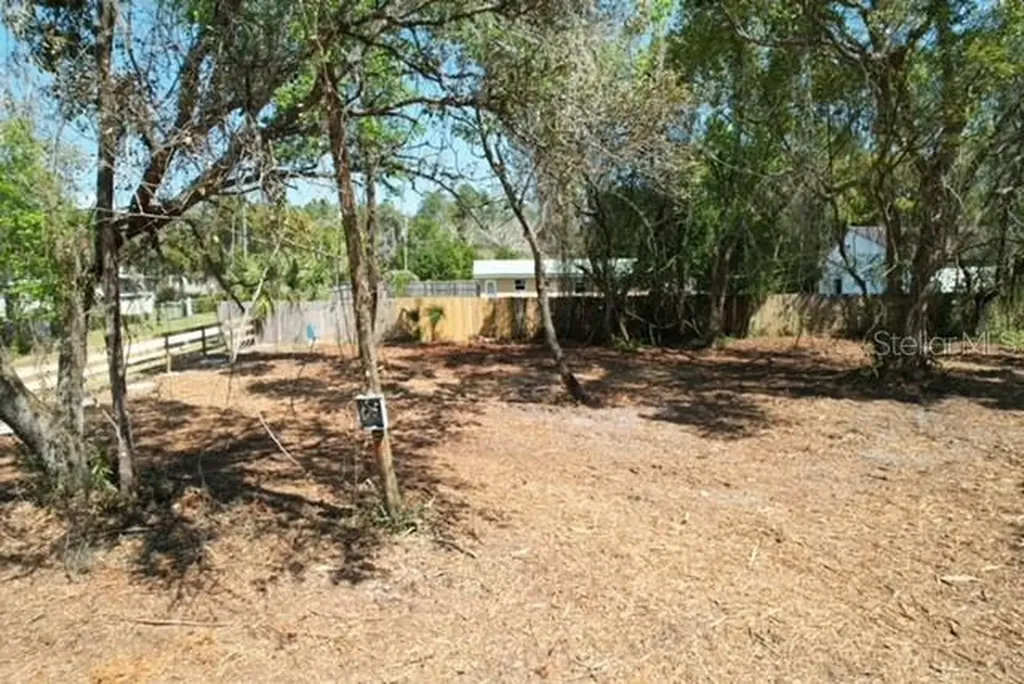 28815 Azalea Avenue Paisley FL 32767