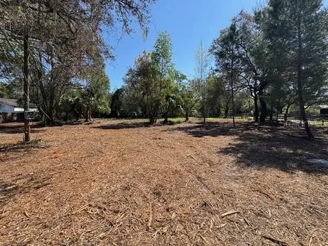 28815 Azalea Avenue Paisley FL 32767