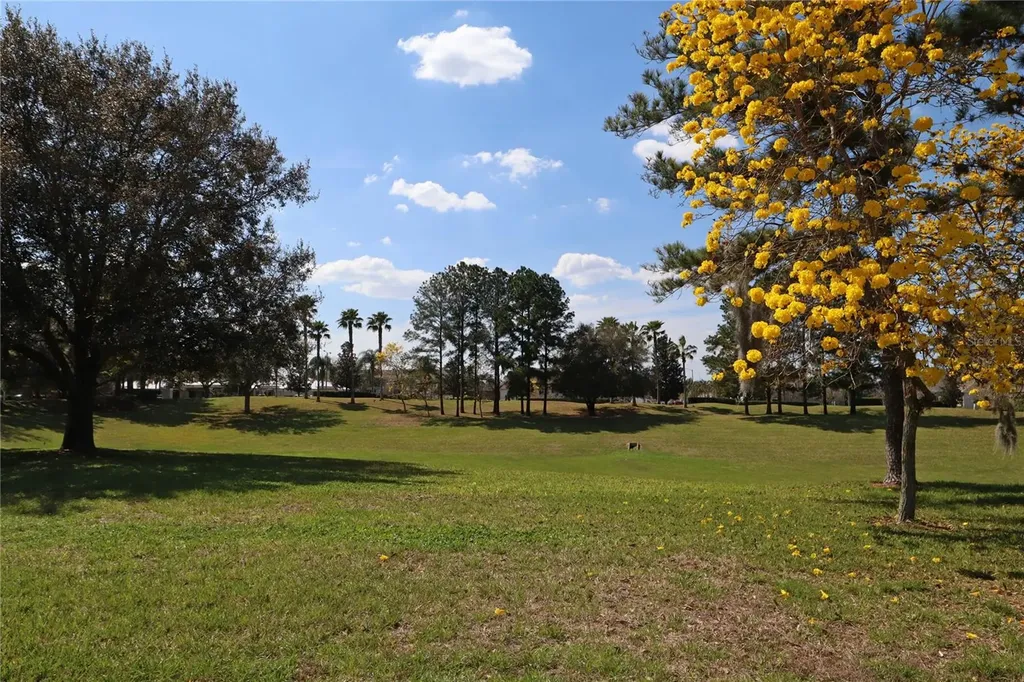 8211 Fan Palm Way Kissimmee FL 34747