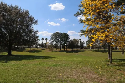 8211 Fan Palm Way Kissimmee FL 34747
