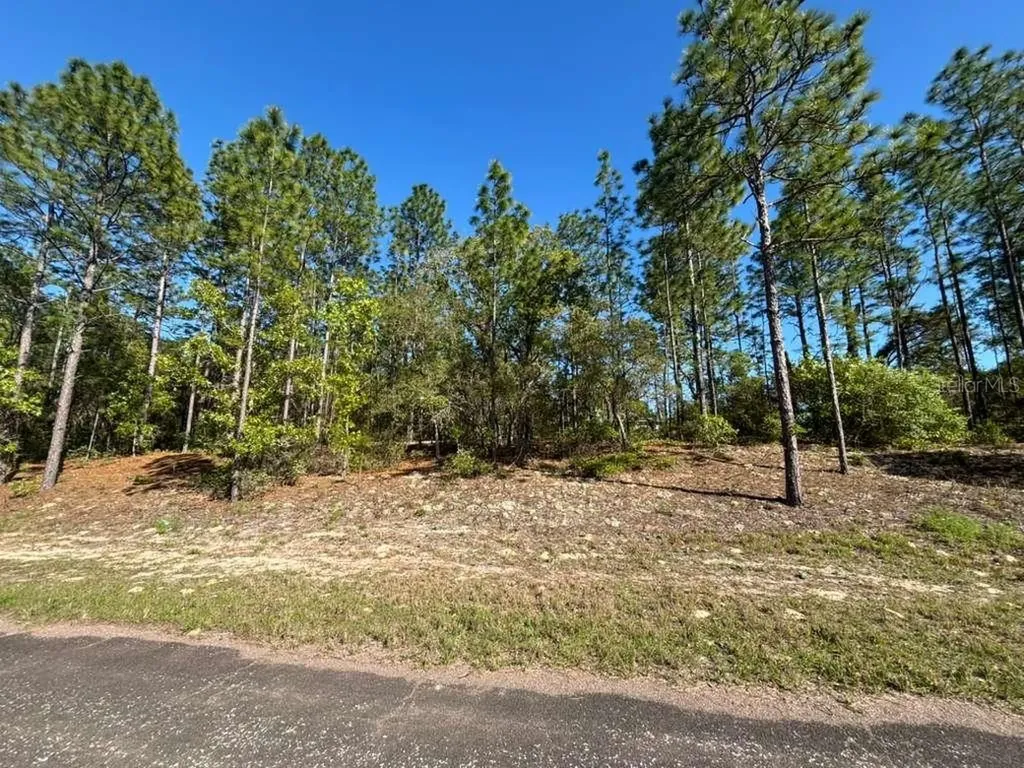9161 N Marcus Way Citrus Springs FL 34433