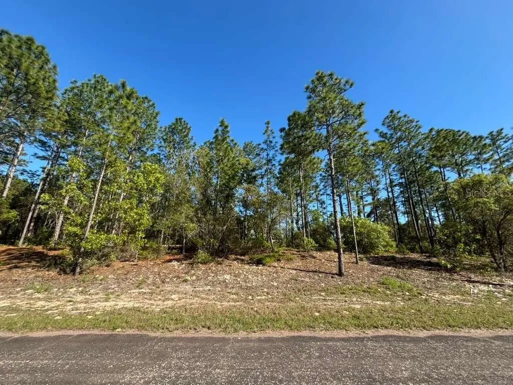 9161 N Marcus Way Citrus Springs FL 34433